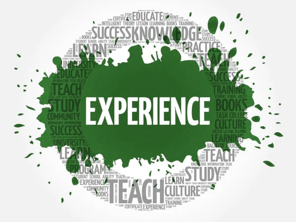 Electric auto-rickshaw experience